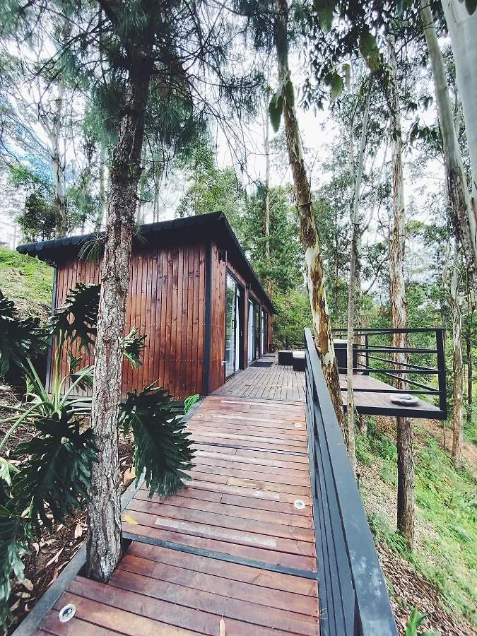 Casa Manoah - Cabin In The Woods Rionegro